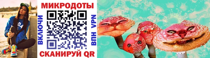 кракен как войти  даркнет сайт  Холмск  Псилоцибиновые грибы GOLDEN TEACHER 