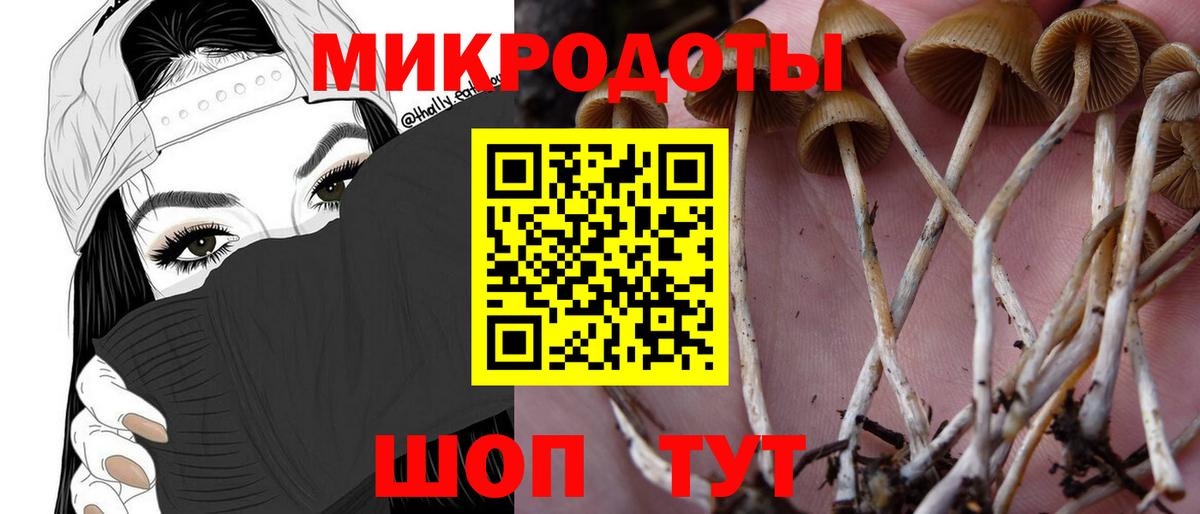 Галлюциногенные грибы мухоморы Холмск
