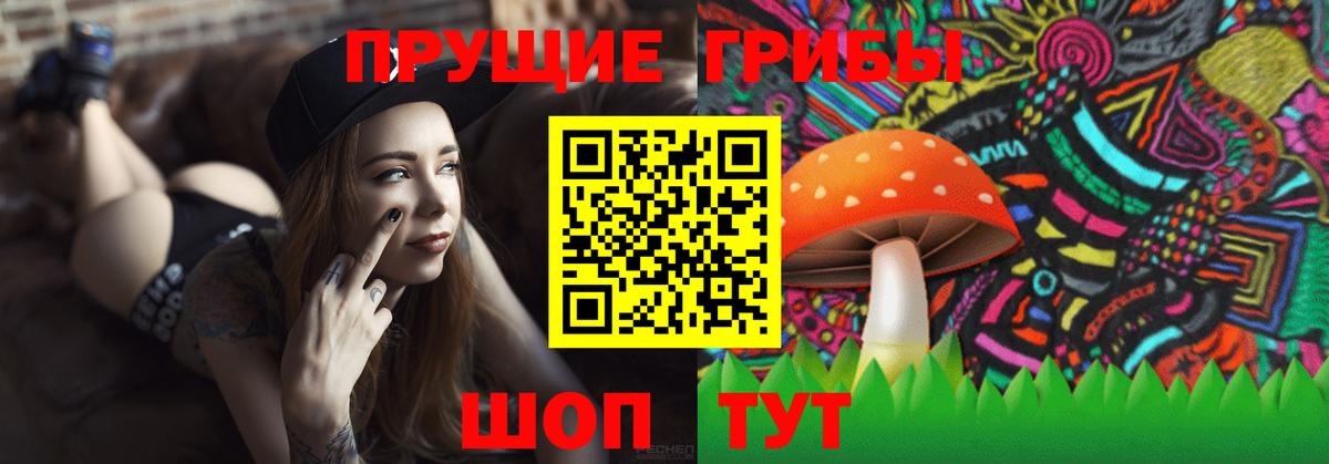 Холмск  Галлюциногенные грибы мухоморы  Вход с VPN  Псилоцибиновые грибы прущие грибы 