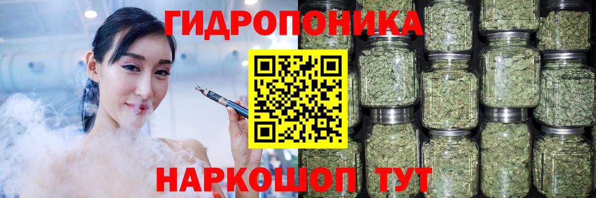 Каннабис сатива Холмск